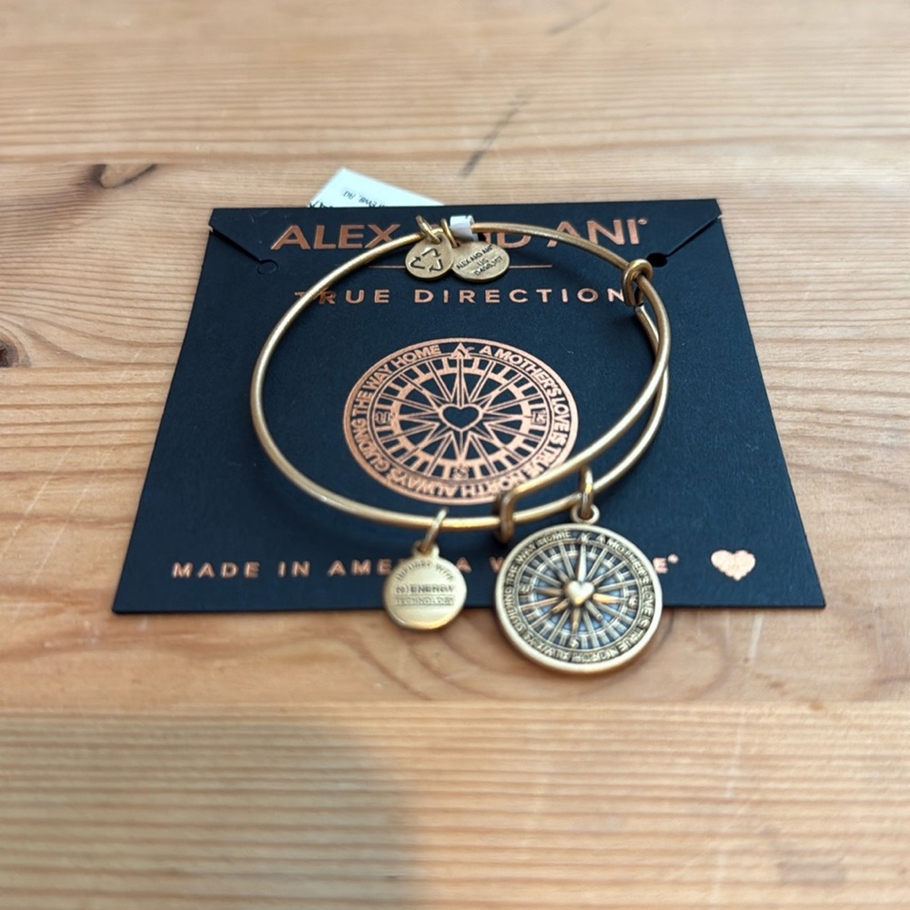 Alex and Ani “True Direction” Bracelet